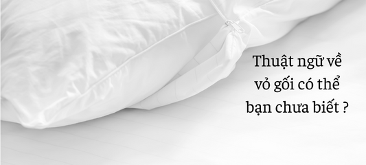 Các loại vỏ gối có thể bạn đã nghe nhưng chưa biết !!!